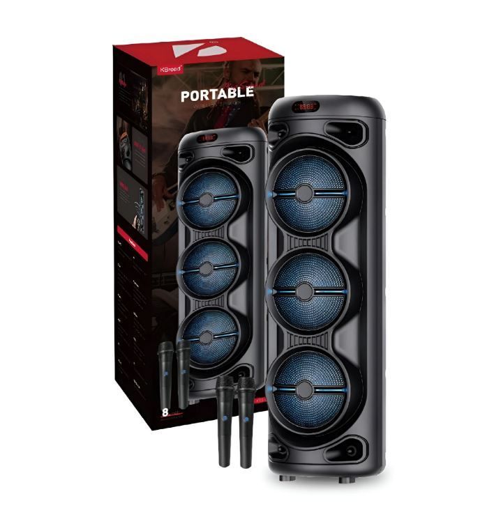 Portable Wireless Speaker 2 Mics